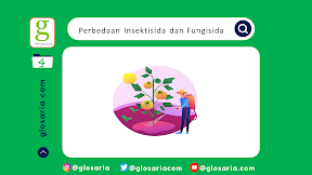 Perbedaan Insektisida dan Fungisida LENGKAP
